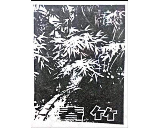公司商标_青岛纺联集团进出口有限公司